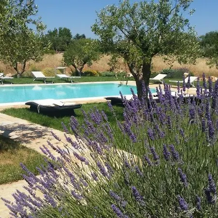 Trulli Terrarossa Con Piscina Villa Martina Franca